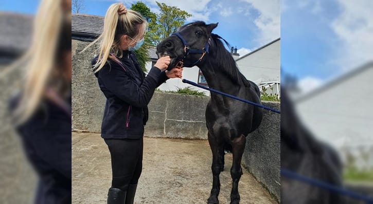 HNC Animal Management Student Sian Walton with her horse Cheeko